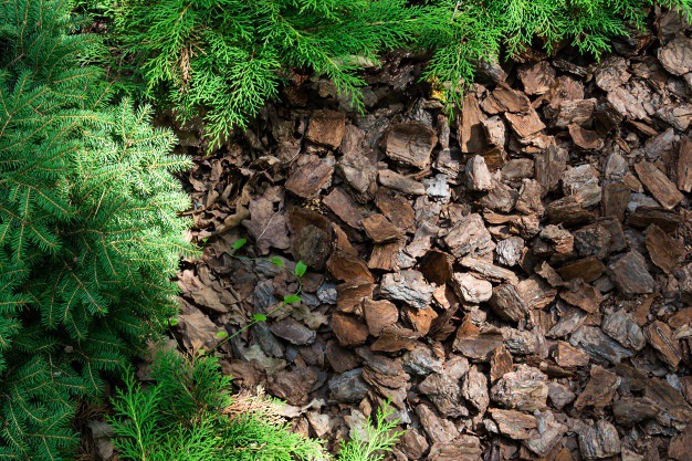 Mulching During a Seasonal Cleanup