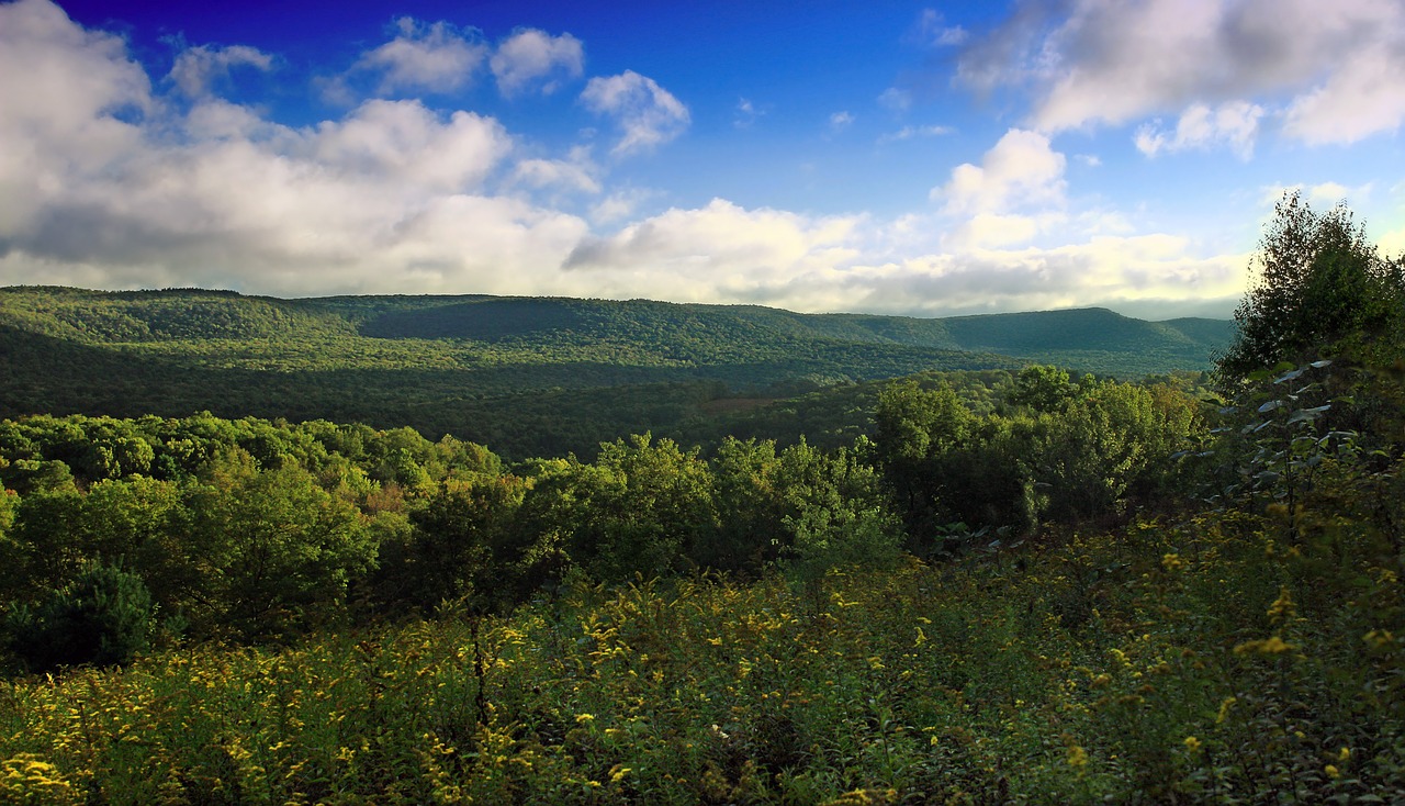 8 of the Best Fall Hikes in Pennsylvania